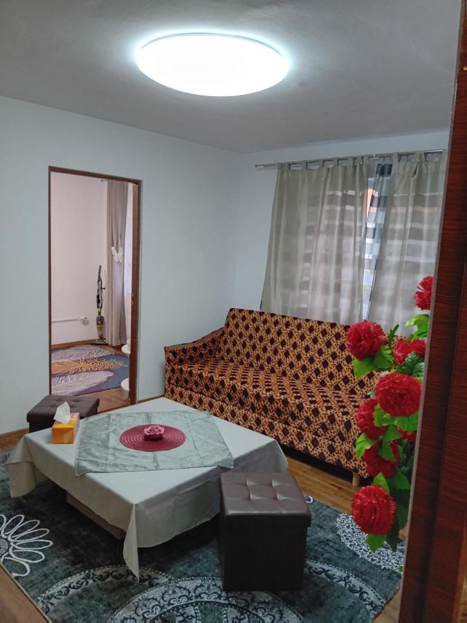 Ferienwohnung La Florin Mediaş Exterior foto